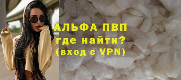 прущие грибы Магадан