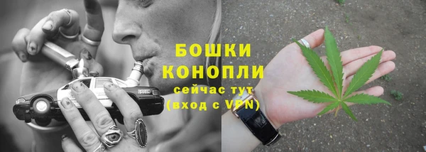 прущие грибы Магадан