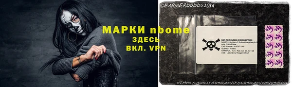 прущие грибы Магадан