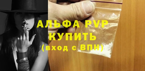 прущие грибы Магадан