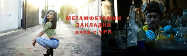 прущие грибы Магадан