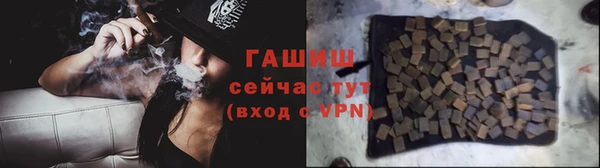 прущие грибы Магадан