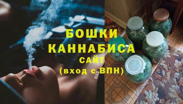 прущие грибы Магадан