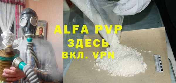 прущие грибы Магадан