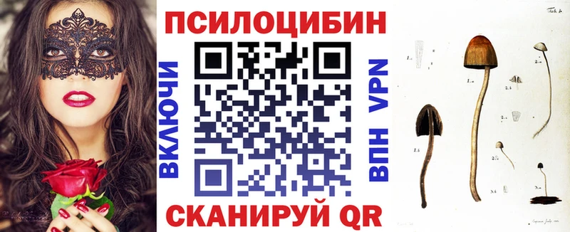магазин продажи наркотиков  Андреаполь  Псилоцибиновые грибы Psilocybe 